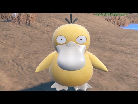 コダックの視線の先には...