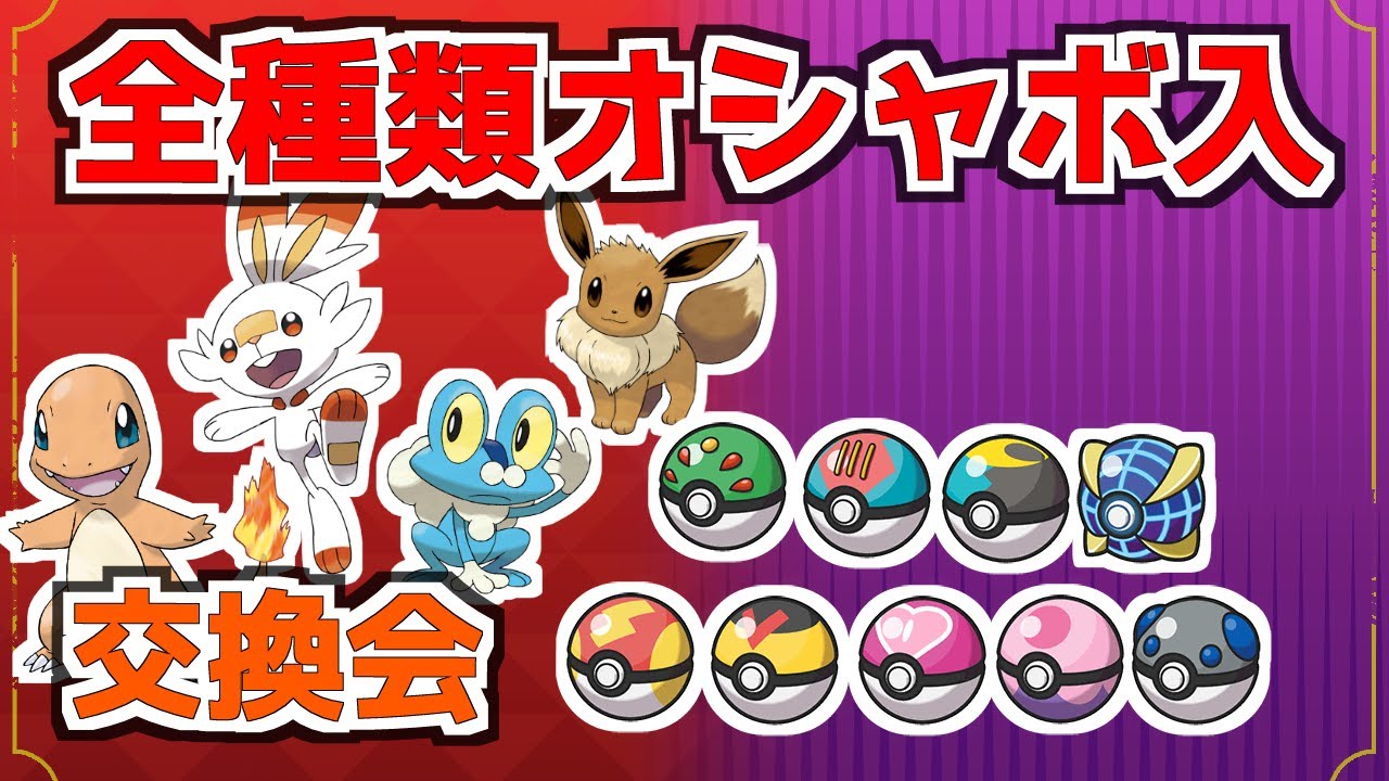 全種オシャボ入り　ヒトカゲ　ヒバニー　ケロマツ　イーブイ　配布会　【ポケモンSV】