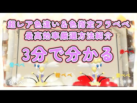 3分で分かる色指定＆色違いフラベベの最高効率厳選方を紹介 #フラベベ #色違い #ポケモンSV