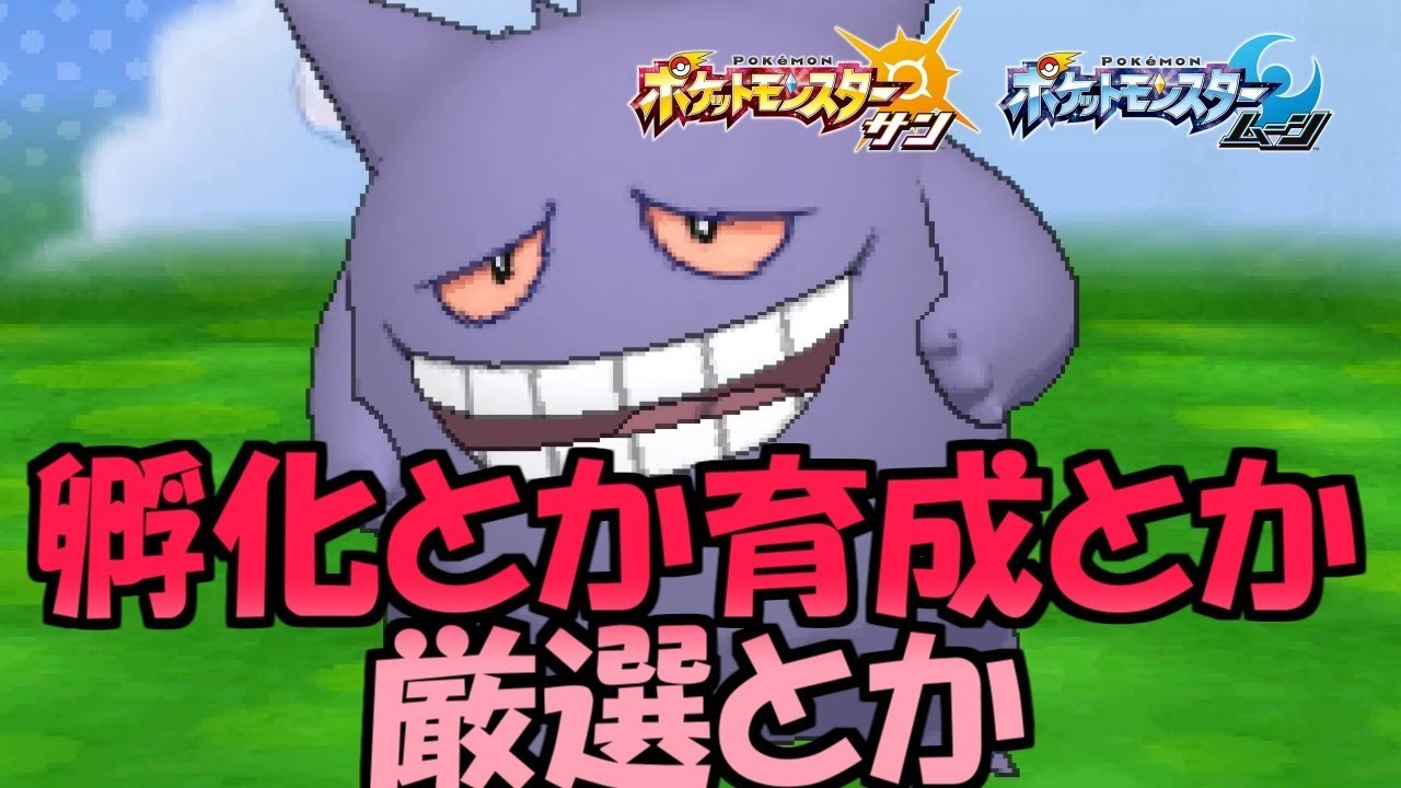 【ポケモンSM】配布色シルヴァディと色ミミッキュ厳選兼テスト