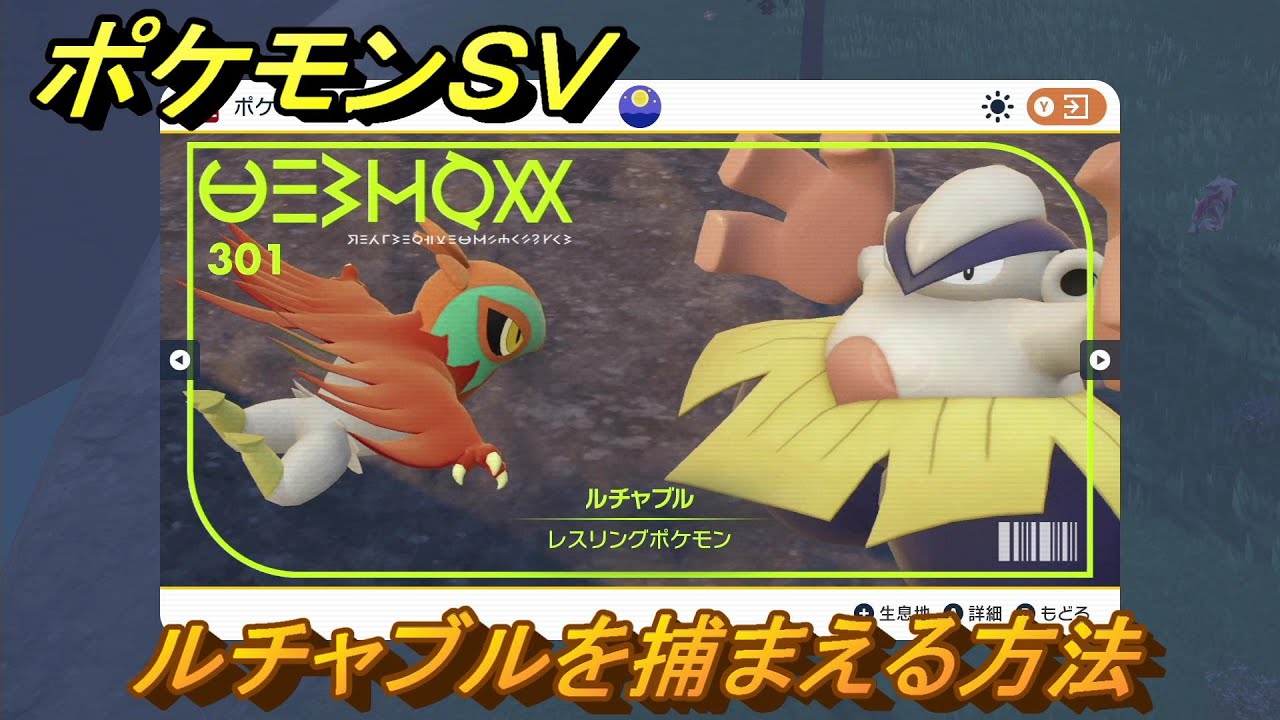 ポケモンＳＶ　ルチャブルを捕まえる方法！出現場所は？図鑑No.３０１　ポケモン図鑑を埋めよう！　【スカーレット・バイオレット】