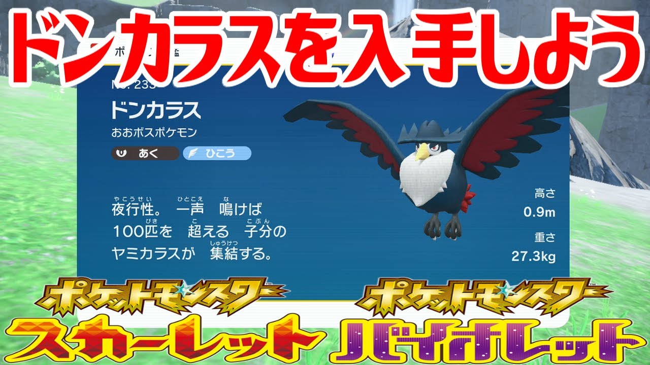 【ポケモンSV】ドンカラスを入手しよう【ポケットモンスター スカーレット・バイオレット】Pocket Monsters