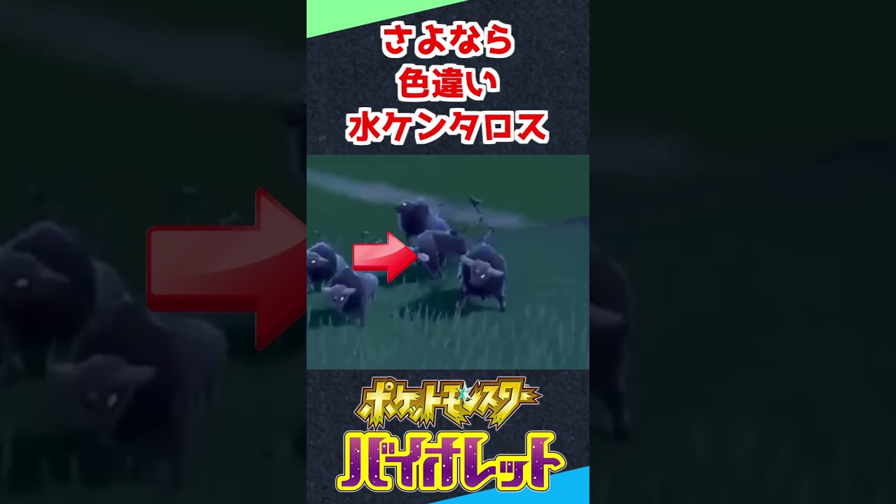 レアな色違い水ケンタロス見逃してたんかい！！！【ポケモンSV】 #shorts