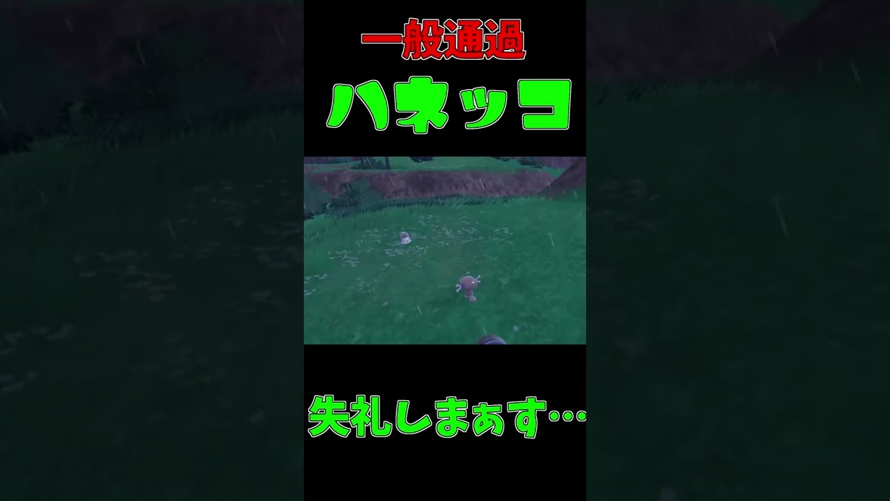 ハネッコが通りますのでご注意ください。