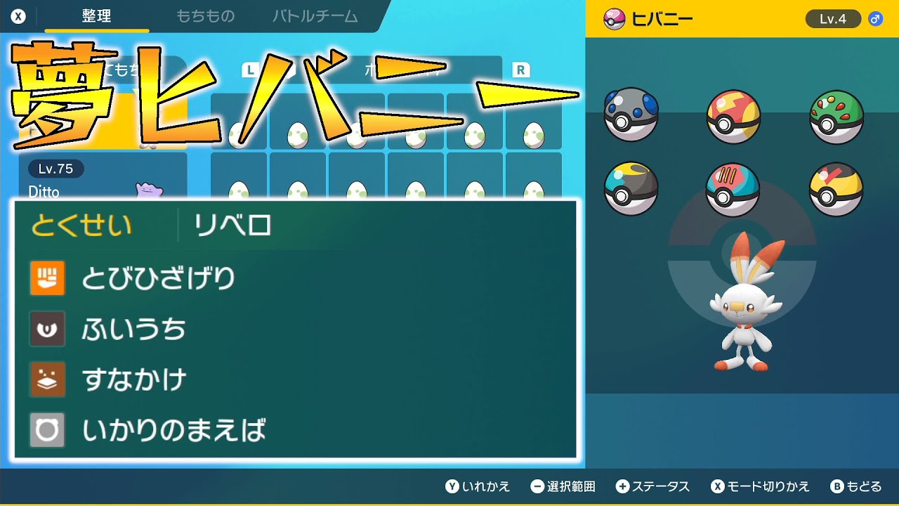 【ポケモンSV】夢ヒバニー配布（ようき、スピボ・フレボ・ムンボ・ヘビボ・ルアボ・レベボ、タマゴ技有）【せう】