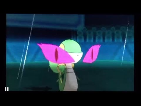 【ポケモンORAS】いばメロ睨みツタージャ