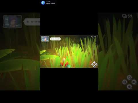 #12 ポケモンスナップ　ネマシュが撮れました～。