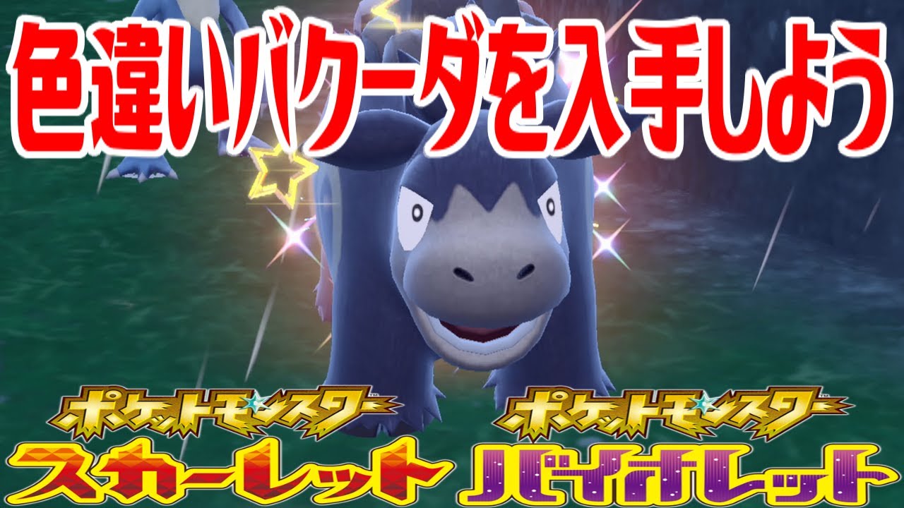 【ポケモンSV】色違いバクーダを入手しよう【ポケットモンスター スカーレット・バイオレット】Pocket Monsters