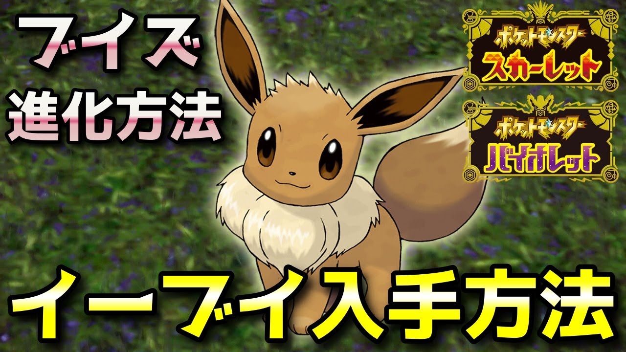 【ポケモンSV】『イーブイ』の出現場所・入手方法！イーブイズ（ブイズ）への進化条件8種も解説【スカーレット・バイオレット】