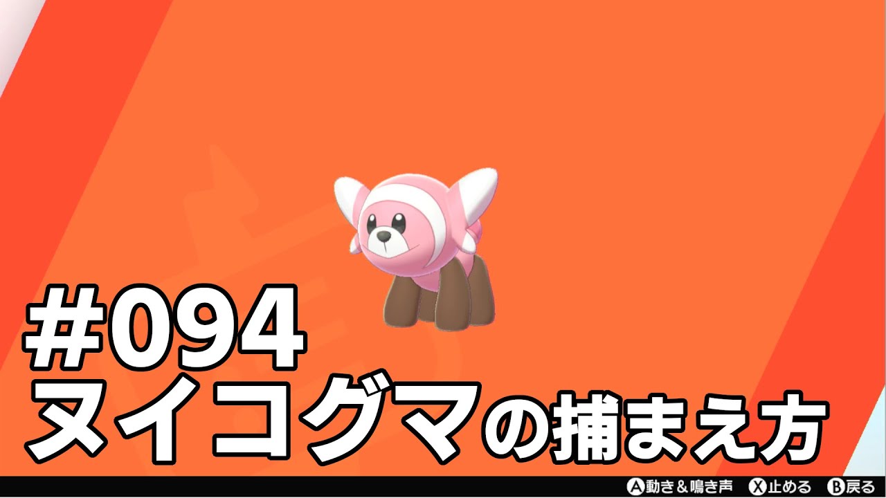 ヌイコグマを探している方に見てほしい動画