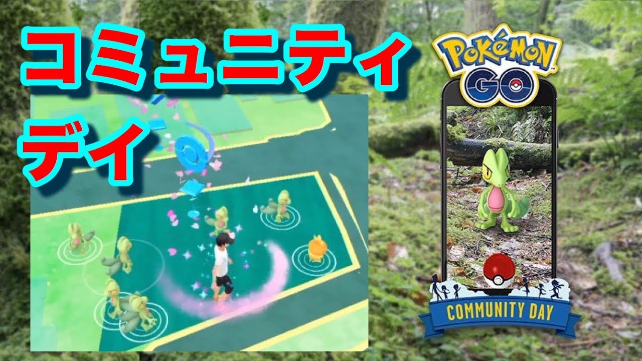 【ポケモンGO】3月のコミュニティデイ キモリ【Pokémon GO】