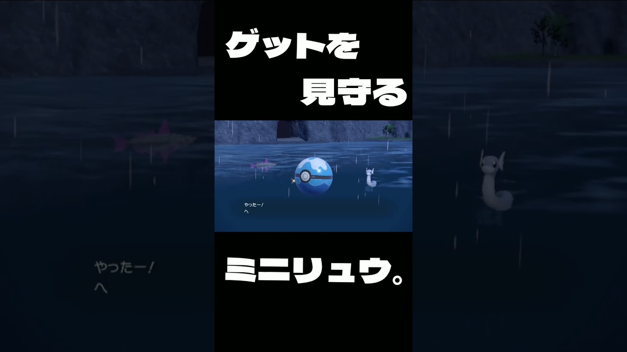 [ポケモンSV] ゲットを見守るミニリュウ。 [ポケットモンスタースカーレット] #Shorts #ポケモンsv #ポケットモンスタースカーレット #ポケットモンスターバイオレット