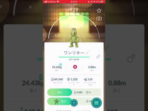【ポケモンGO】 No.066 ワンリキー（色違い）を進化させてみた！/Pokémon GO No.066 Machop (shiny) Evolving challenge #shorts