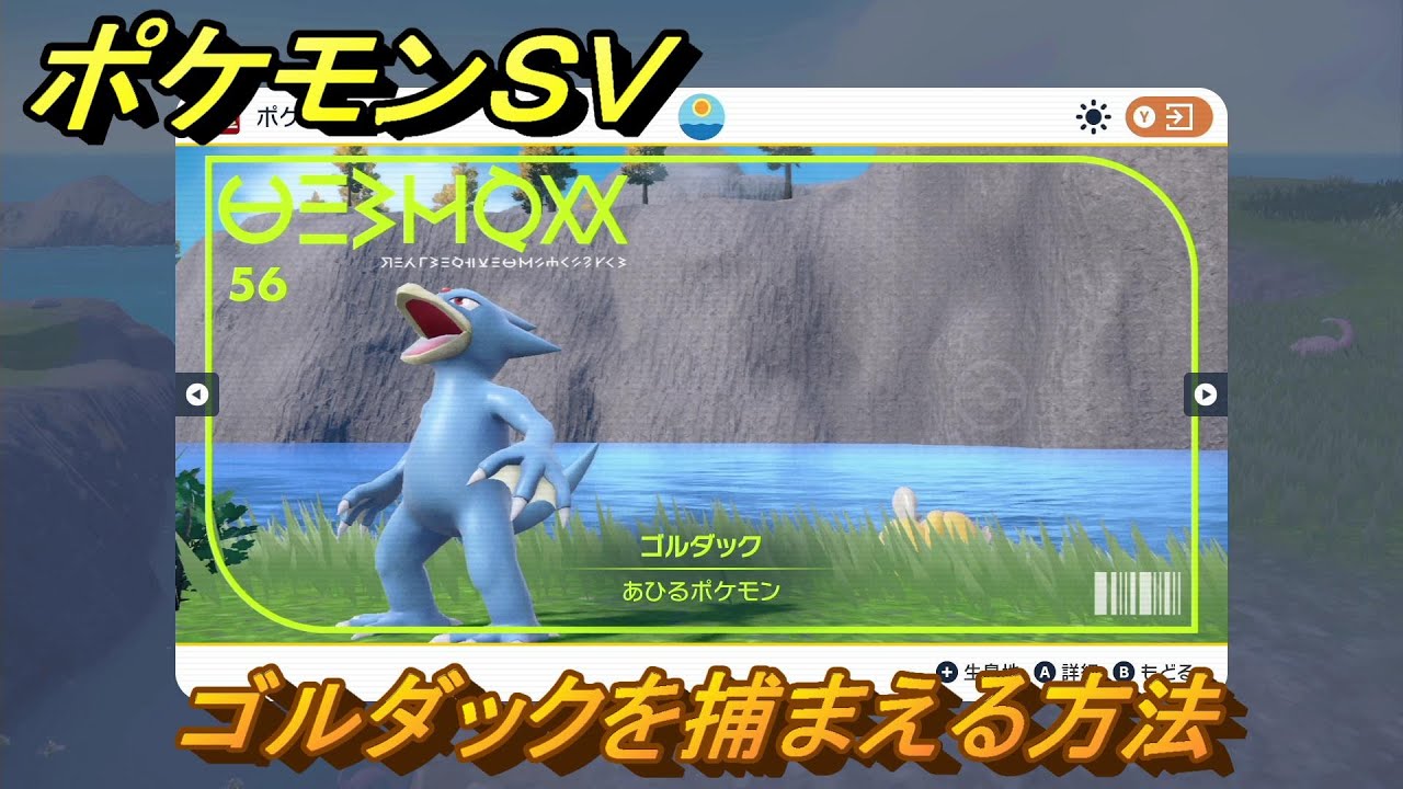 ポケモンＳＶ　ゴルダックを捕まえる方法！出現場所は？図鑑No.５６　ポケモン図鑑を埋めよう！　【スカーレット・バイオレット】