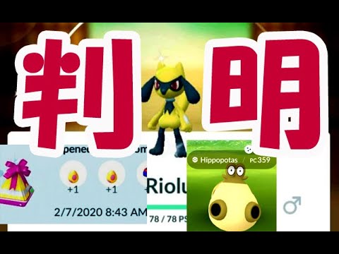 【ポケモンGO】色違いリオル＆ヒポポタス発見報告！タマゴがギフトから〇個出た＆タスクの中身【シンオウイベント情報】