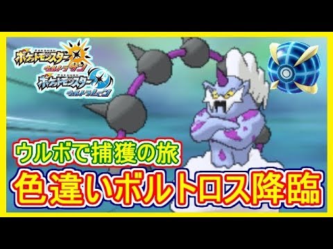 【USUM】#51 色違いボルトロス！ 伝説 色違い ウルボで捕獲の瞬間！ポケモンウルトラサンムーン Part51 【メイルス実況】