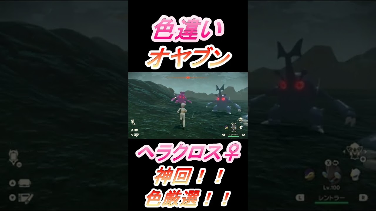 【色オヤブン】色違いオヤブンヘラクロス♀を出す者！【春の神様からの贈り物】　#Short【大大大発生】【色厳選】【神回】【ポケモンレジェンズ】【Pokémon LEGENDSアルセウス】ヒスイの夜明け