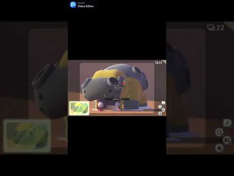 #17 ポケモンスナップ　アチャモが撮れました～。