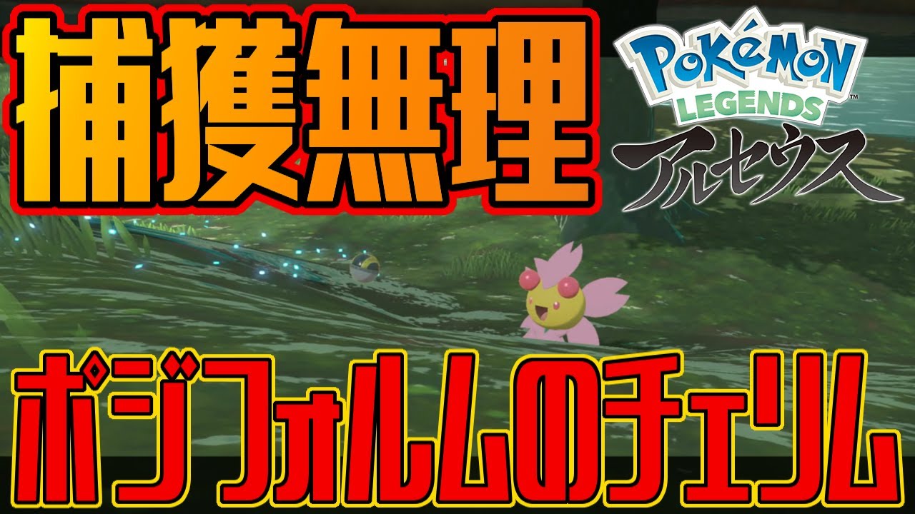 【ポケモンアルセウス】ポジフォルムのチェリムが本当に捕まらないか検証してみよう アップデート後は不具合修正済み【Pokémon LEGENDS アルセウス】