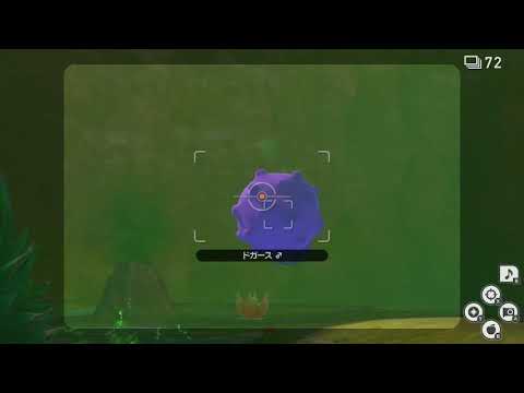 Newポケモンスナップ　★4ドガース【5091】