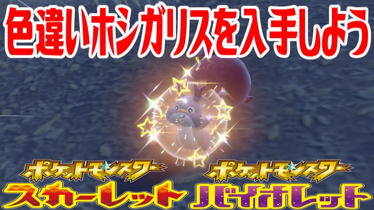 【ポケモンSV】色違いホシガリスを入手しよう【ポケットモンスター スカーレット・バイオレット】Pocket Monsters