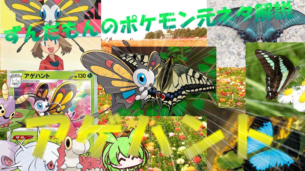 【VOICEVOX解説】ずんだもんのポケモン元ネタ解説　アゲハント【アゲハ蝶解説】