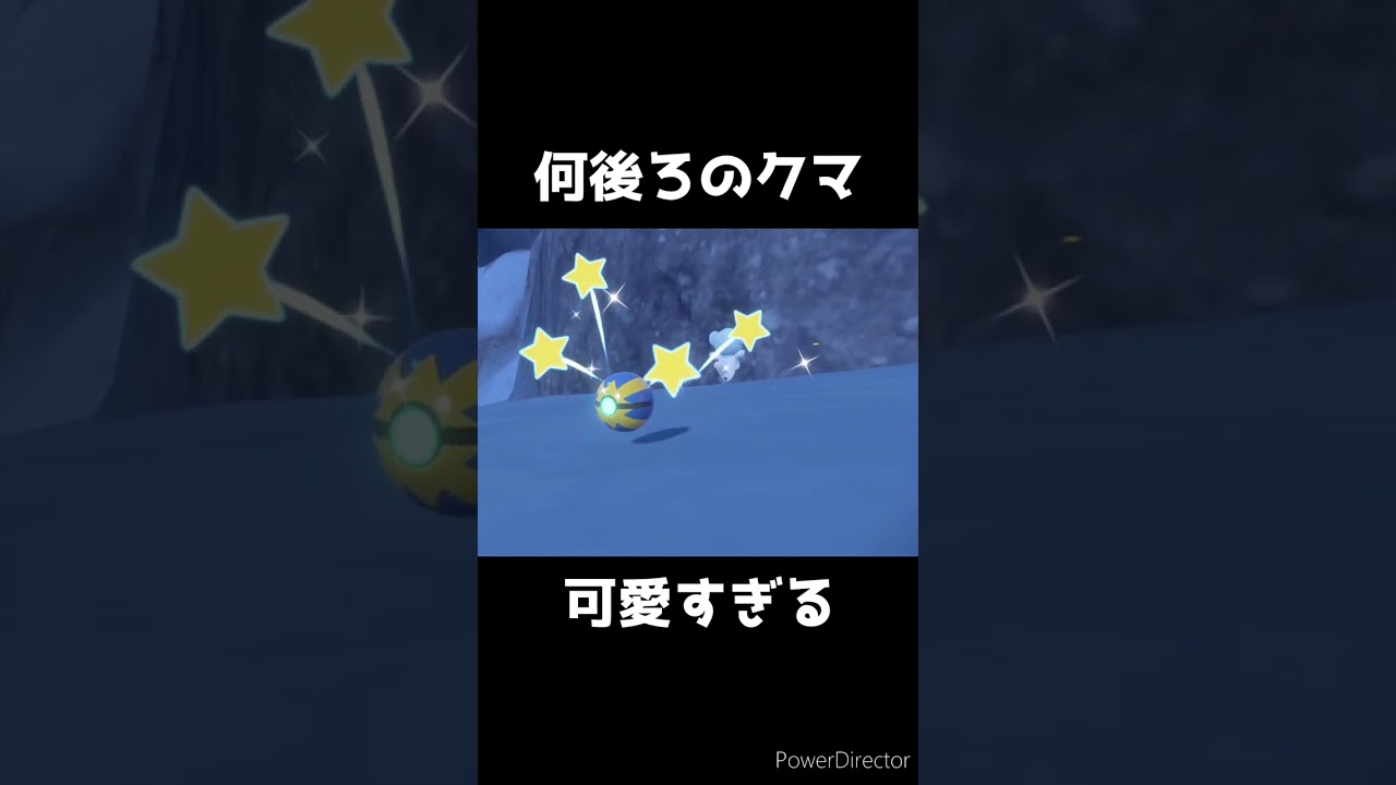 【ポケモンSV】可愛すぎるクマシュン #ポケモン #ポケモンsv #クマシュン #shorts #short