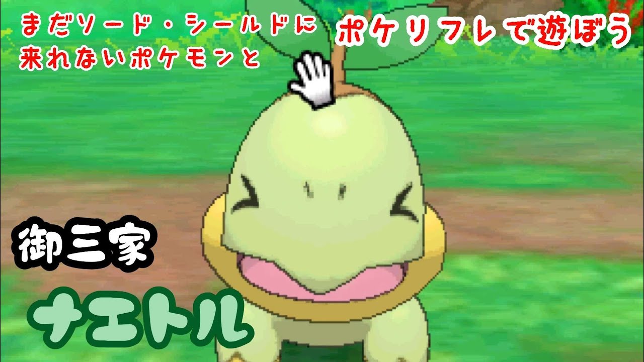 【ポケリフレ】387 ナエトルとポケリフレで遊ぼう♪ ナエトル