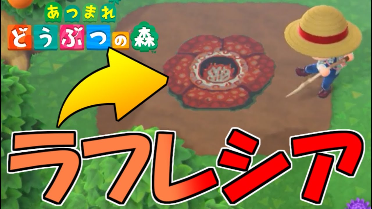 【あつ森】　え！ラフレシアが咲いたのですけどｗ　【あつまれどうぶつの森】