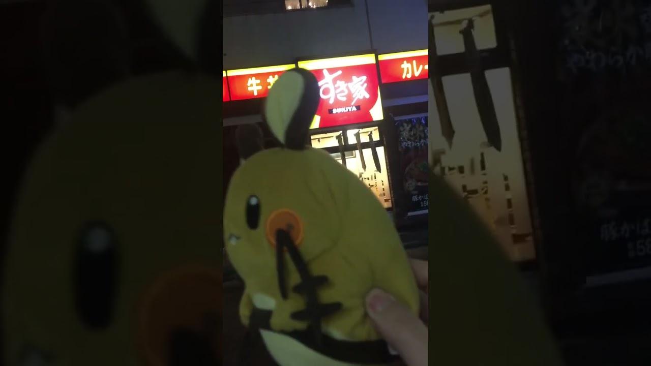 デデンネの配膳トレーニング #Shorts
