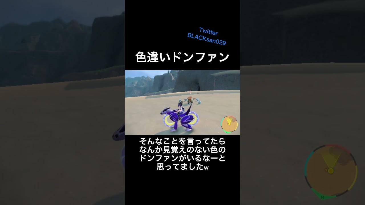 【ポケモンSV】色違いドンファンに遭遇＋オマケ付き #ポケモンsv #色違い #ポケットモンスター #色違い厳選