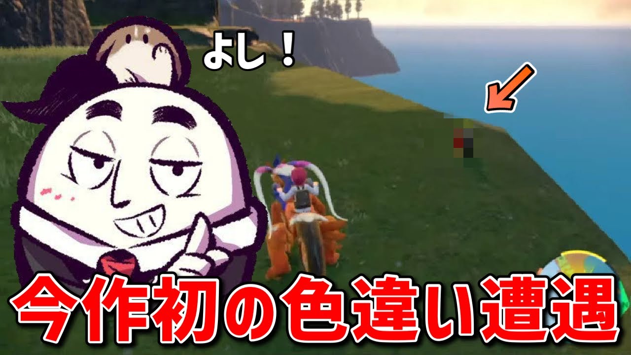 【ポケモンSV】色違いルチャブルを捕獲するカジテツ玉子【2022/11/24】