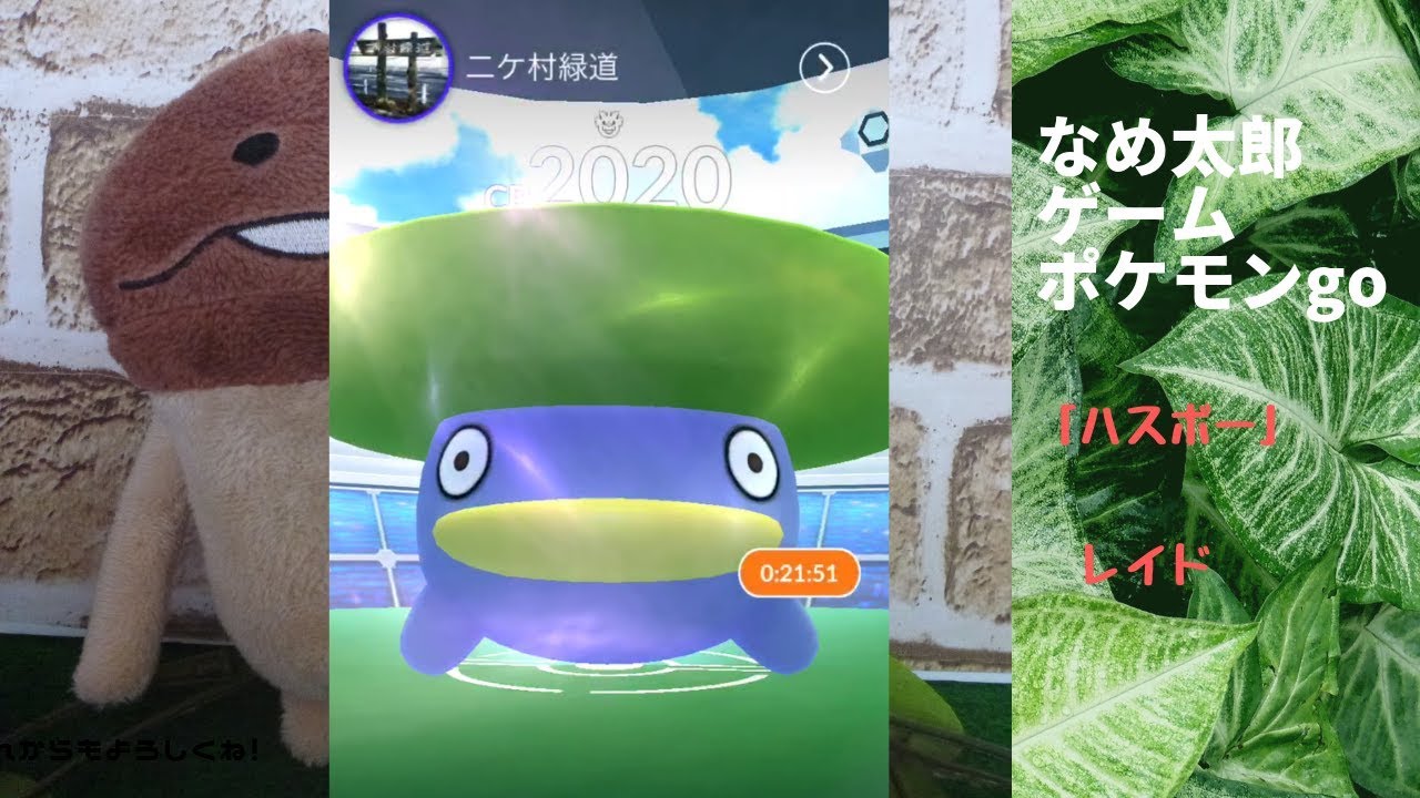 【縦画面スマホ向け】なめ太郎の今日のレイド「ハスボー」ゲットだぜ。【ポケモンgo】