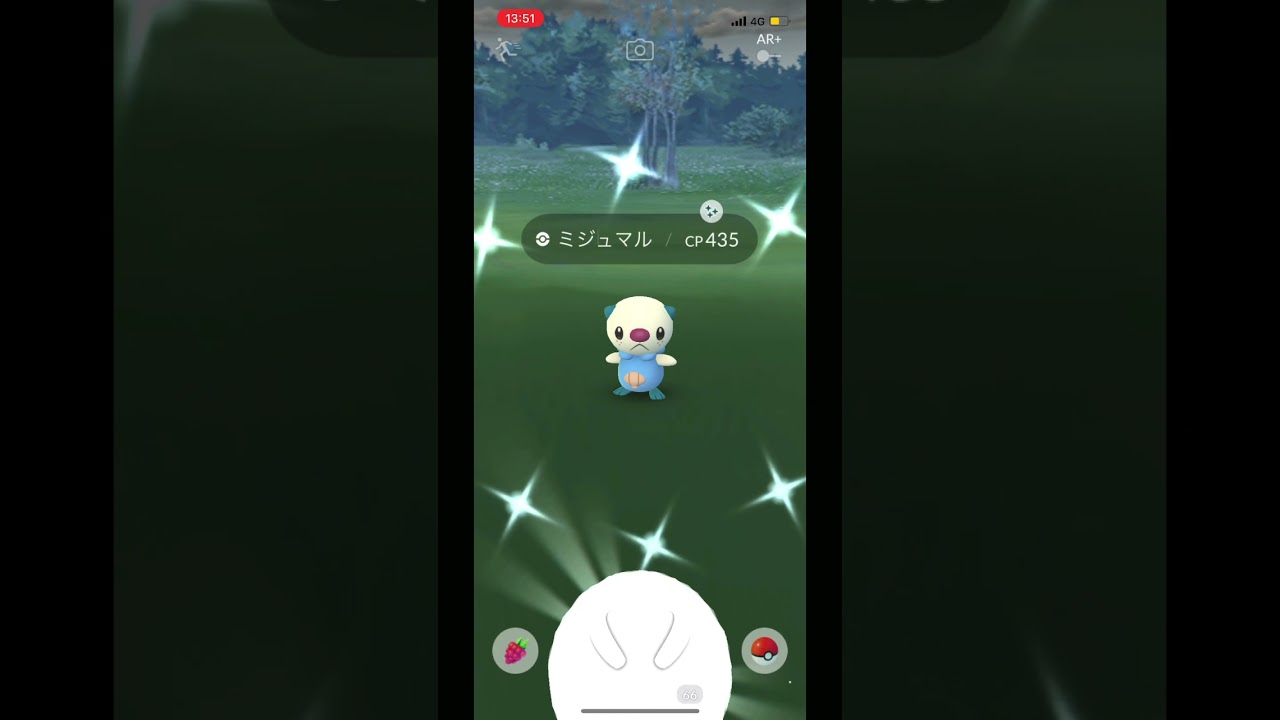 色違いミジュマル現る