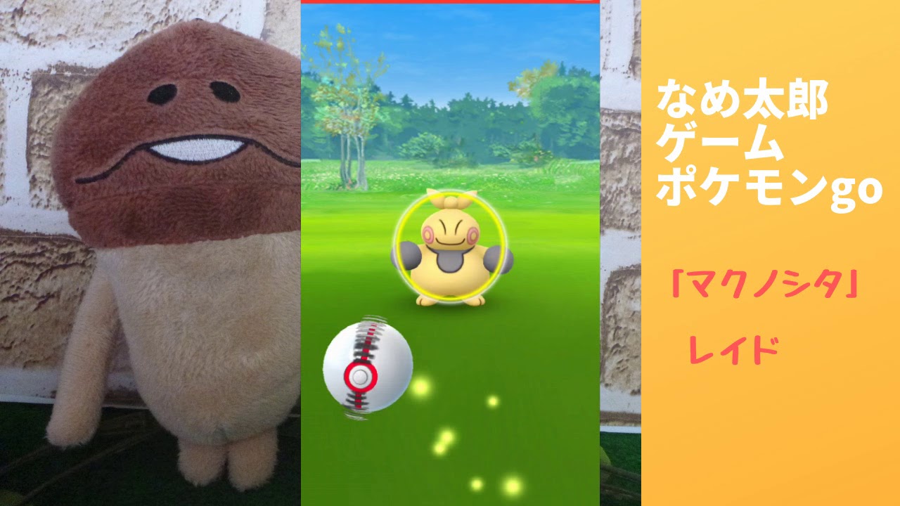 なめ太郎の今日のレイド「マクノシタ」ゲットだぜ。【ポケモンgo】