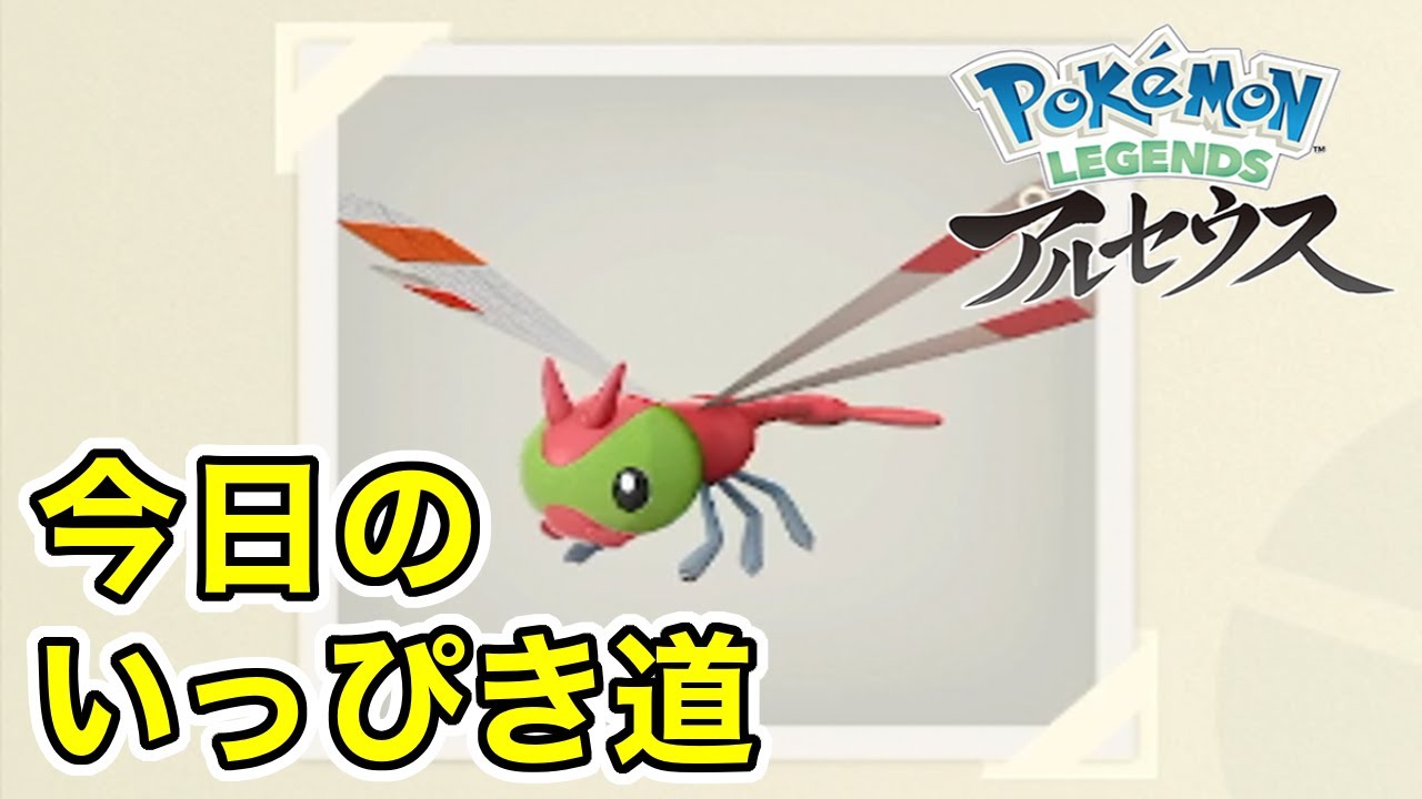 【Pokémon LEGENDS アルセウス】今日のいっぴき道（ヤンヤンマ）【NS】