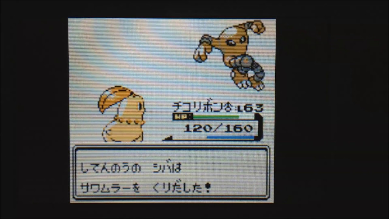 色チコリータ1匹の旅～031四天王 シバ戦～【ポケモン金VC】