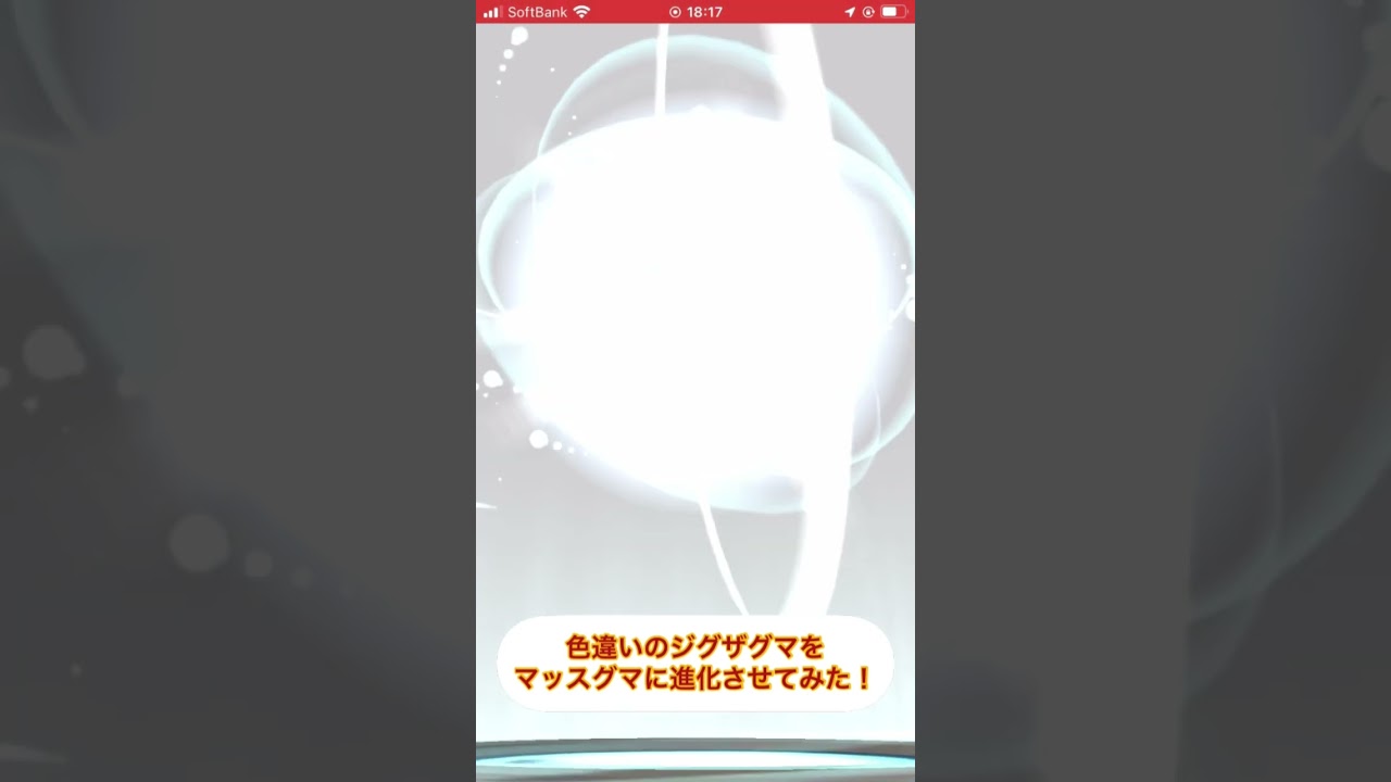 色違いのジグザグマをマッスグマに進化させてみた！　#ポケモンGO #色違い