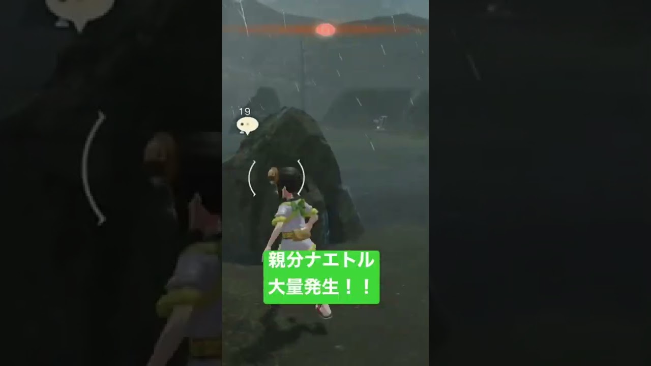 親分ナエトル大量発生！！