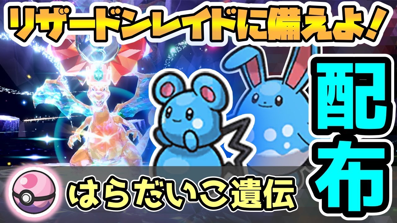 【リザードンレイド対策!!】ドリームボール　はらだいこ遺伝済み　ルリリ配布【ポケモンSV】