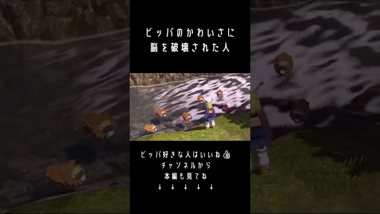 ビッパのかわいさはもはや危険【アルセウス実況切り抜き】#shorts