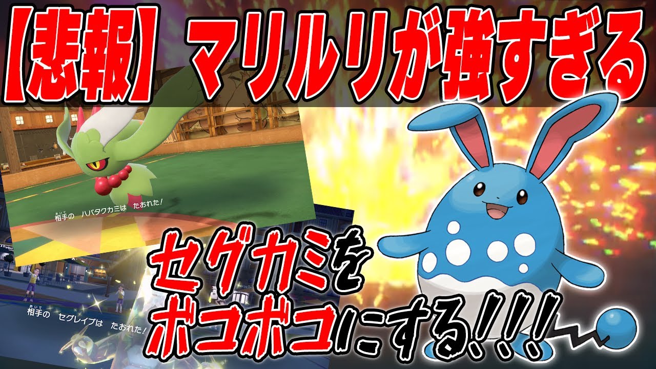 他のポケモンの動画撮りたかったのに"マリルリ"さんが撮れ高泥棒する【ポケモンSV】