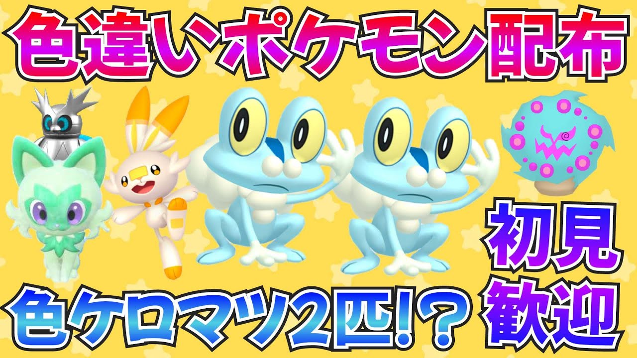 【ポケモンSV】色違いポケモン配布 色ケロマツが2匹!? 視聴者プレゼント #ポケモン交換 #ポケモン配布
