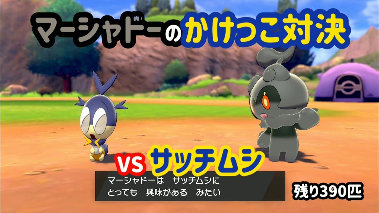 VSサッチムシ ガラル図鑑No.10【マーシャドーのかけっこ対決】