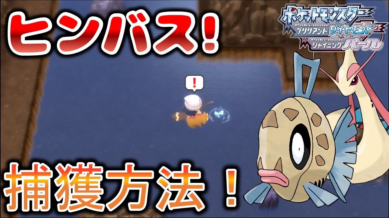 【ダイパリメイク】ヒンバスの捕獲方法を解説 ポケモン