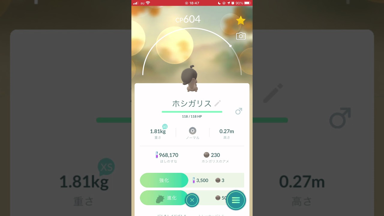 ［ポケモンGO］進化「ホシガリス→ヨクバリス」