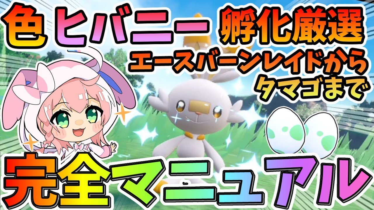 【ポケモンSV】36時間寝てない主の、ヒバニー孵化厳選マニュアル！だよ！