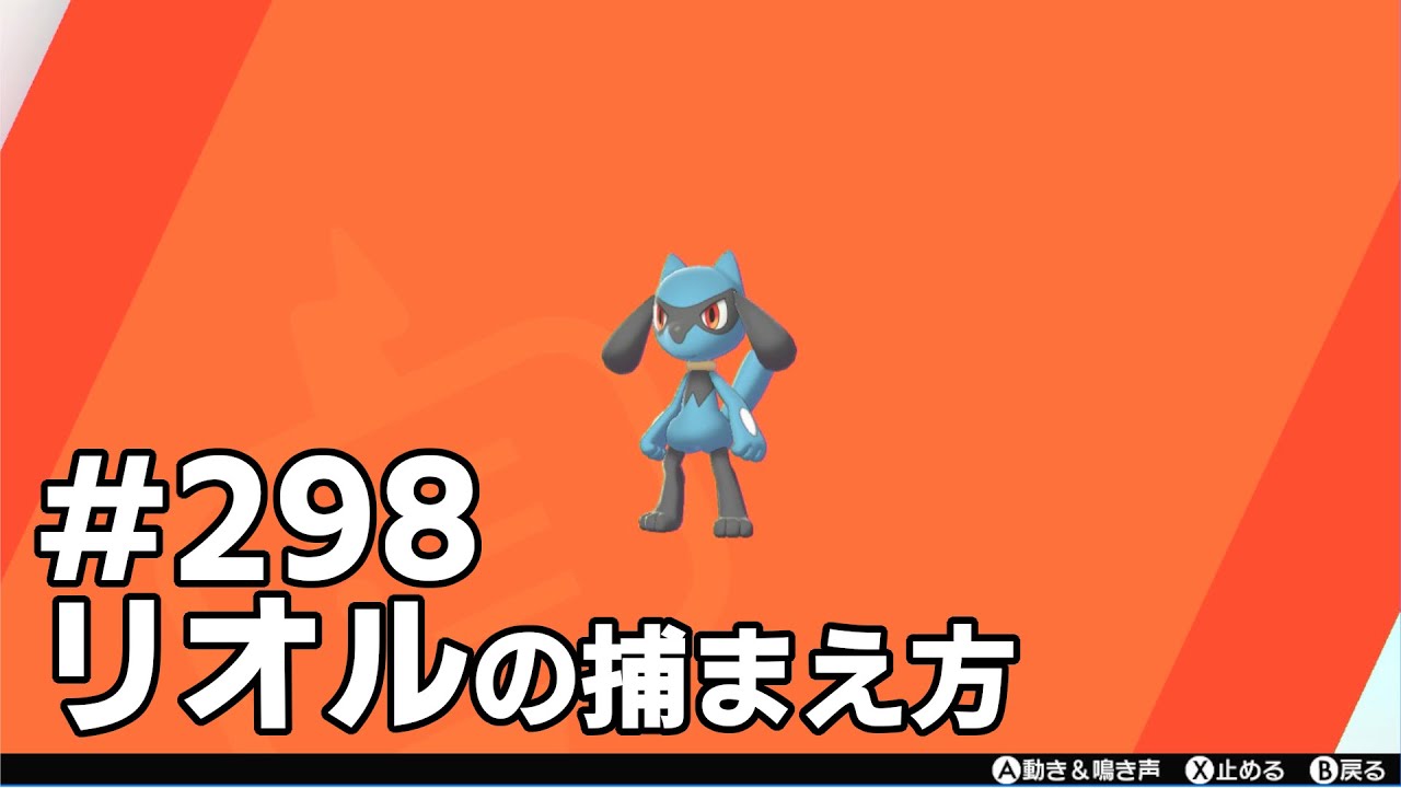 リオルを探している方に見てほしい動画