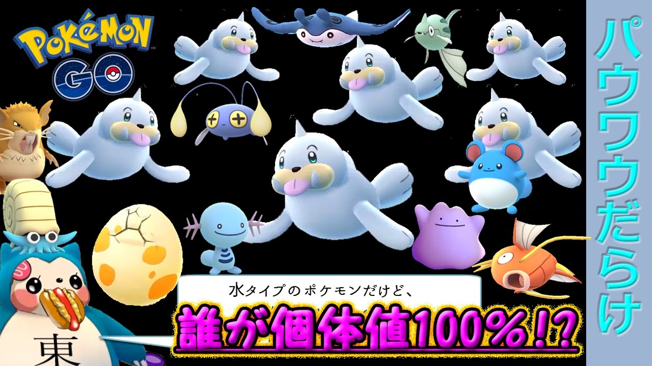 パウワウだらけ＆約1ヶ月ぶり13種族目の個体値100％ポケモンGET！