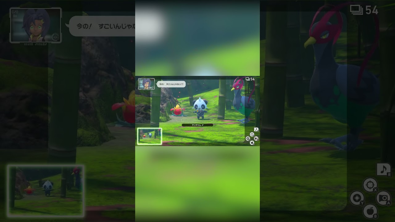 【Newポケモンスナップ NEW POKÉMON SNAP】無邪気なヤンチャムは弟感強いな #shorts
